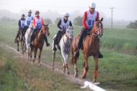 Obrázok
